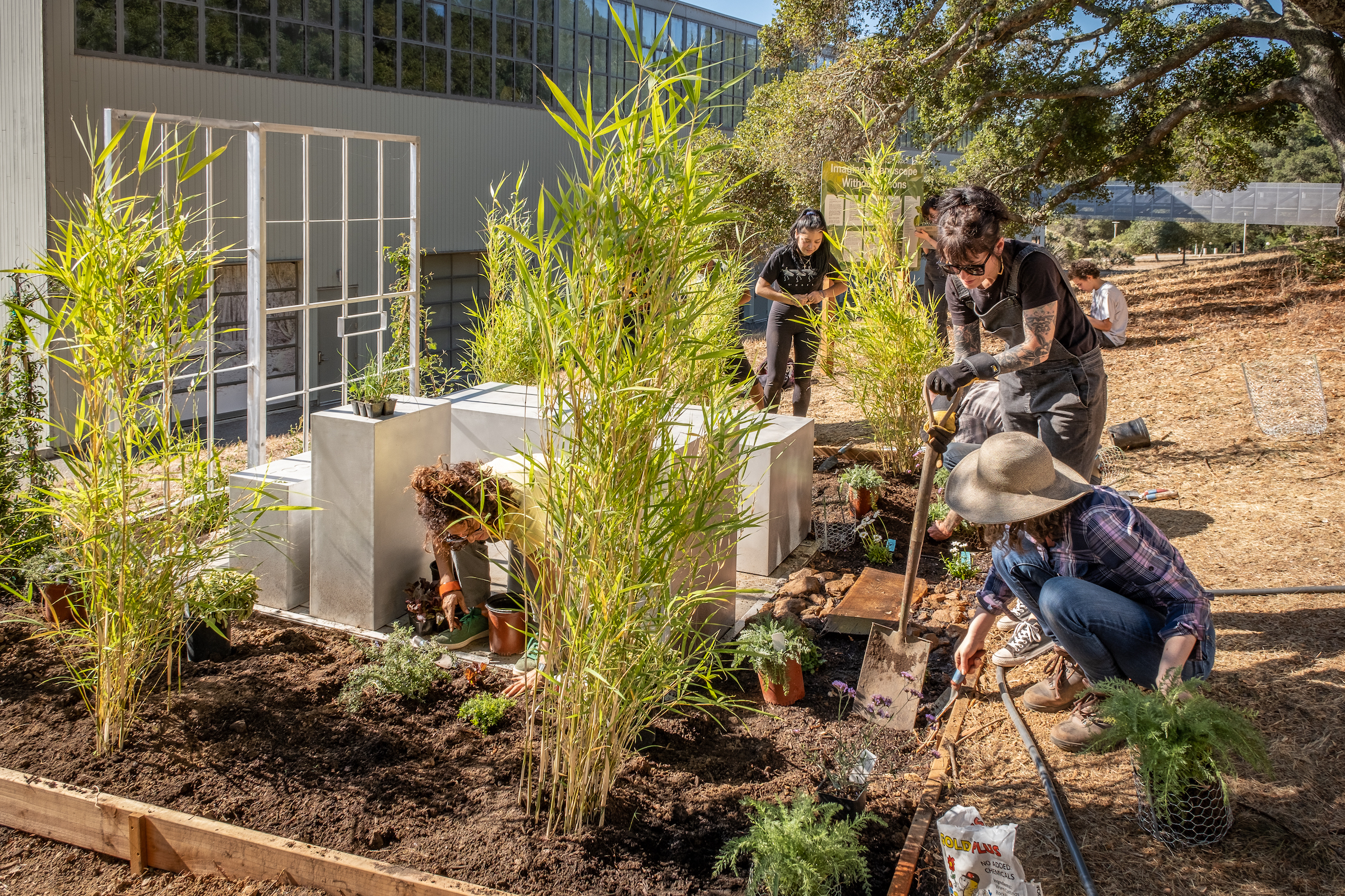 Image of people working in the Solitary Garden.