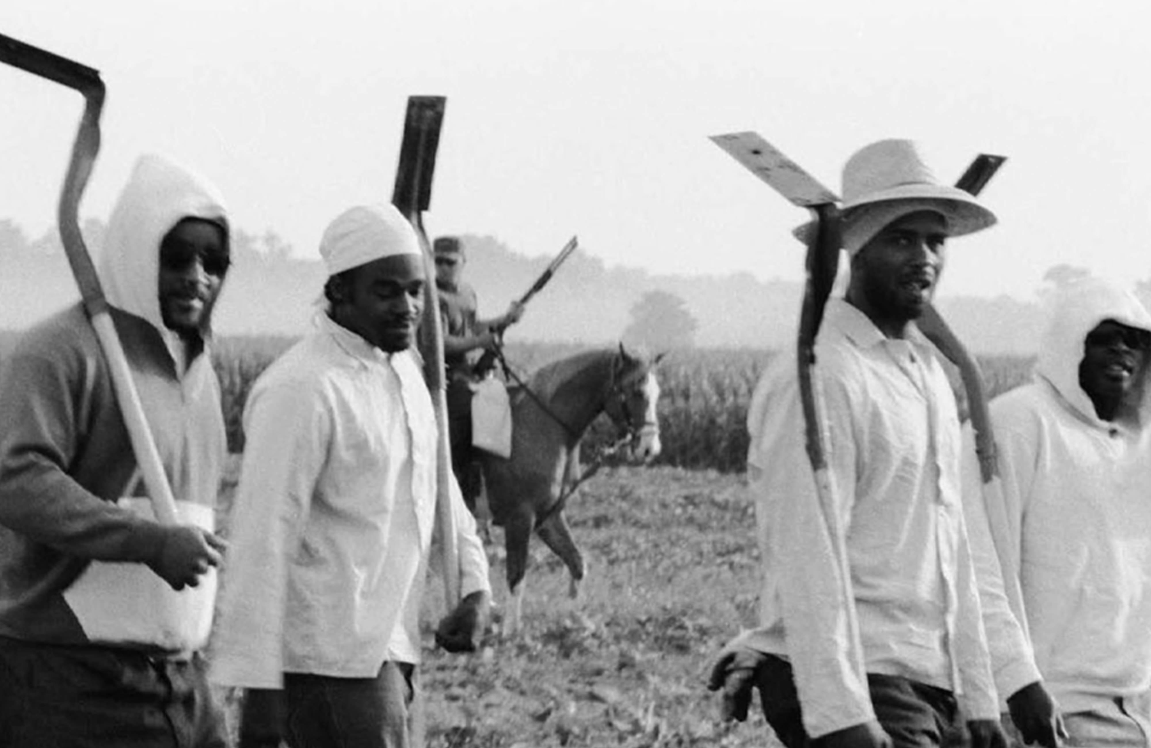 image of men working in the fields at Angola